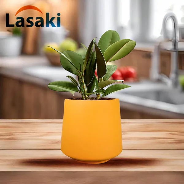 Clara_Lily_Ceramic_Pots_For_Indoor_Plants,_Planters,Gamla,Outdoor,Balcony,Home,Round,Garden,_Office_Decor,Succulent(H_-_12.5_X_D_-_12.5_Cm)