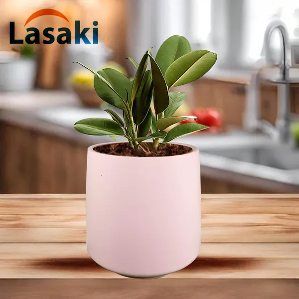 Clara_Pink_Ceramic_Pots_For_Indoor_Plants,_Planters,Gamla,Outdoor,Balcony,Home,Round,Garden,_Office_Decor,Succulent(H_-_12.5_X_D_-_12.5_Cm)