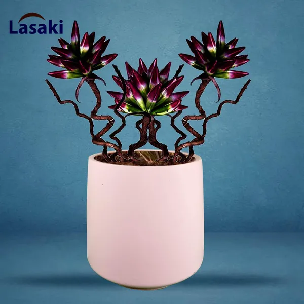 Clara_Pink_Ceramic_Pots_For_Indoor_Plants,_Planters,Gamla,Outdoor,Balcony,Home,Round,Garden,_Office_Decor,Succulent(H_-_12.5_X_D_-_12.5_Cm)