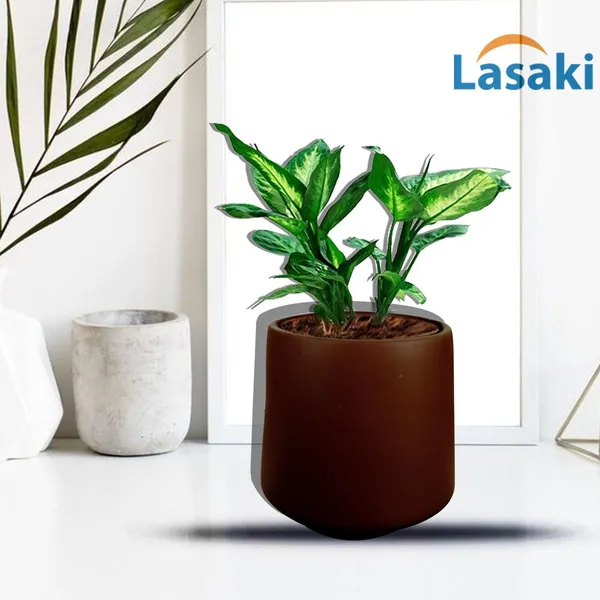 Clara_Truffle_Ceramic_Pots_For_Indoor_Plants,_Planters,Gamla,Outdoor,Balcony,Home,Round,Garden,_Office_Decor,Succulent(H_-_12.5_X_D_-_12.5_Cm)