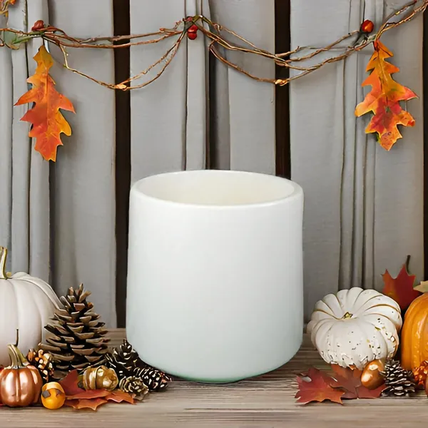 Clara_White_Ceramic_Pots_For_Indoor_Plants,_Planters,Gamla,Outdoor,Balcony,Home,Round,Garden,_Office_Decor,Succulent(H_-_12.5_X_D_-_12.5_Cm)