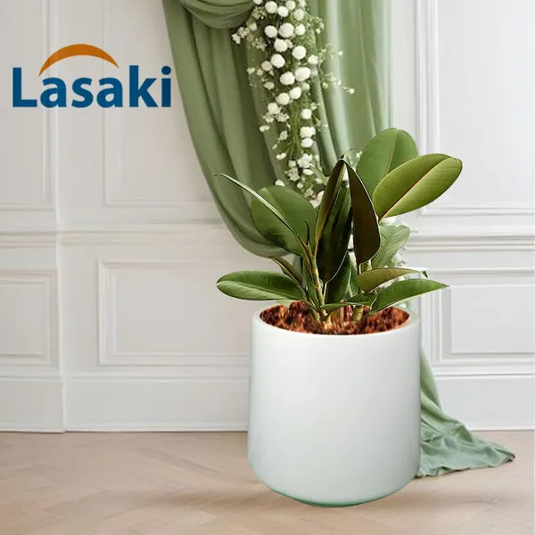 Clara_White_Ceramic_Pots_For_Indoor_Plants,_Planters,Gamla,Outdoor,Balcony,Home,Round,Garden,_Office_Decor,Succulent(H_-_12.5_X_D_-_12.5_Cm)