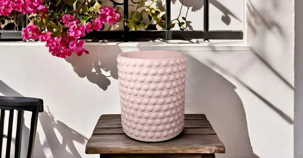 Bubble_Big_Pink_Ceramic_Pots_For_Indoor_Plants,_Planters,Gamla,Outdoor,Balcony,Home,Round,Garden,_Office_Decor,Succulent(H_-_15_X_D_-_13_Cm)