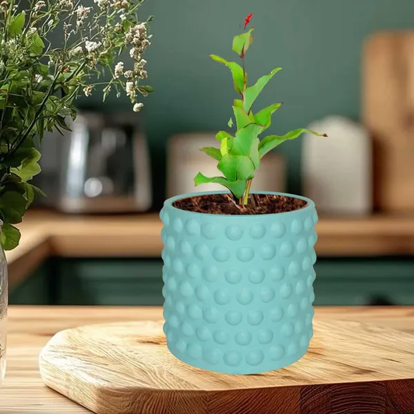 Bubble_Small_Aqua_Ceramic_Pots_For_Indoor_Plants,_Planters,Gamla,Outdoor,Balcony,Home,Round,Garden,_Office_Decor,Succulent(H_-_10_X_D_-_10_Cm)