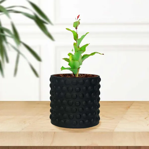 Bubble_Small_Black_Ceramic_Pots_For_Indoor_Plants,_Planters,Gamla,Outdoor,Balcony,Home,Round,Garden,_Office_Decor,Succulent(H_-_10_X_D_-_10_Cm)