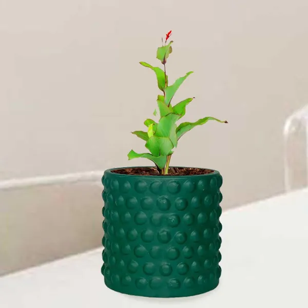 Bubble_Small_Deep_Jungle_Ceramic_Pots_For_Indoor_Plants,_Planters,Gamla,Outdoor,Balcony,Home,Round,Garden,_Office_Decor,Succulent(H_-_10_X_D_-_10_Cm)
