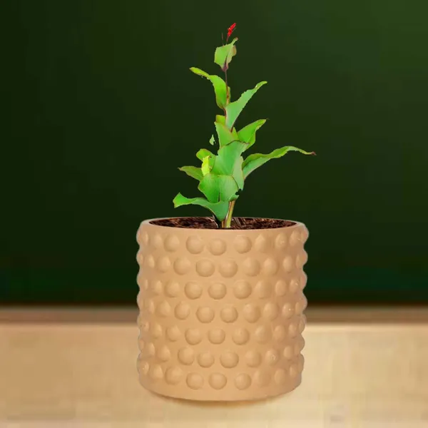 Bubble_Small_Ginger_Ceramic_Pots_For_Indoor_Plants,_Planters,Gamla,Outdoor,Balcony,Home,Round,Garden,_Office_Decor,Succulent(H_-_10_X_D_-_10_Cm)