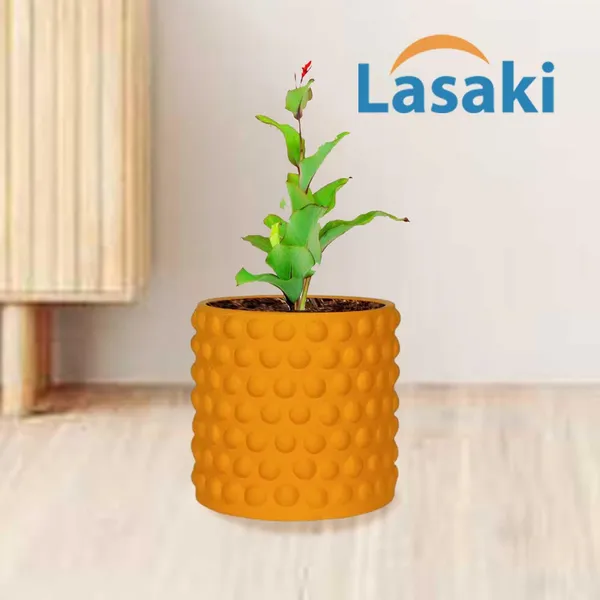 Bubble_Small_Lily_Ceramic_Pots_For_Indoor_Plants,_Planters,Gamla,Outdoor,Balcony,Home,Round,Garden,_Office_Decor,Succulent(H_-_10_X_D_-_10_Cm)