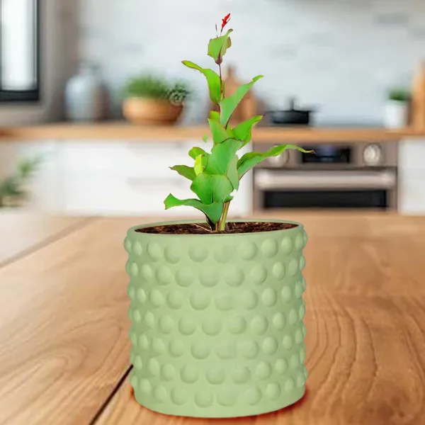Bubble_Small_Mint_Ceramic_Pots_For_Indoor_Plants,_Planters,Gamla,Outdoor,Balcony,Home,Round,Garden,_Office_Decor,Succulent(H_-_10_X_D_-_10_Cm)