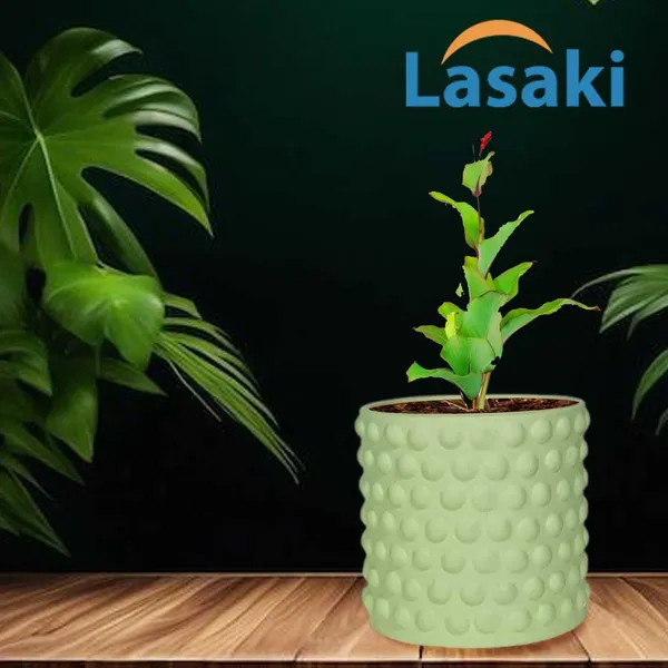 Bubble_Small_Mint_Ceramic_Pots_For_Indoor_Plants,_Planters,Gamla,Outdoor,Balcony,Home,Round,Garden,_Office_Decor,Succulent(H_-_10_X_D_-_10_Cm)