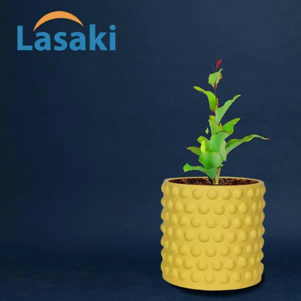 Bubble_Small_Saffron_Ceramic_Pots_For_Indoor_Plants,_Planters,Gamla,Outdoor,Balcony,Home,Round,Garden,_Office_Decor,Succulent(H_-_10_X_D_-_10_Cm)