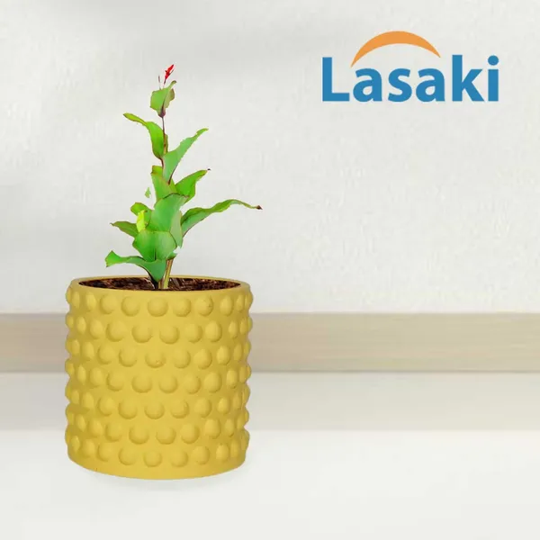 Bubble_Small_Saffron_Ceramic_Pots_For_Indoor_Plants,_Planters,Gamla,Outdoor,Balcony,Home,Round,Garden,_Office_Decor,Succulent(H_-_10_X_D_-_10_Cm)