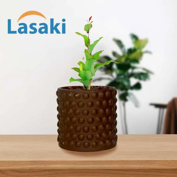 Bubble_Small_Truffle_Ceramic_Pots_For_Indoor_Plants,_Planters,Gamla,Outdoor,Balcony,Home,Round,Garden,_Office_Decor,Succulent(H_-_10_X_D_-_10_Cm)