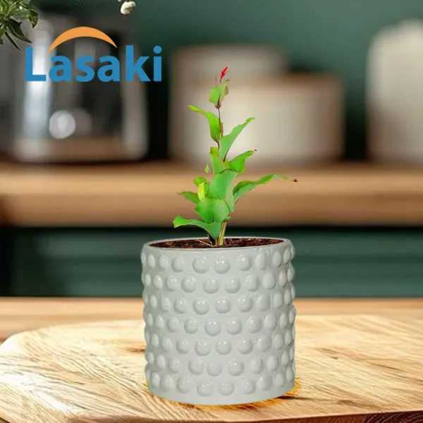 Bubble_Small_White_Ceramic_Pots_For_Indoor_Plants,_Planters,Gamla,Outdoor,Balcony,Home,Round,Garden,_Office_Decor,Succulent(H_-_10_X_D_-_10_Cm)