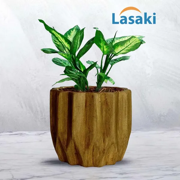 Montra_Antique_Ceramic_Pots_For_Indoor_Plants,_Planters,Gamla,Outdoor,Balcony,Home,Round,Garden,_Office_Decor,Succulent(H_-_10.5_X_D_-_12.5_Cm)