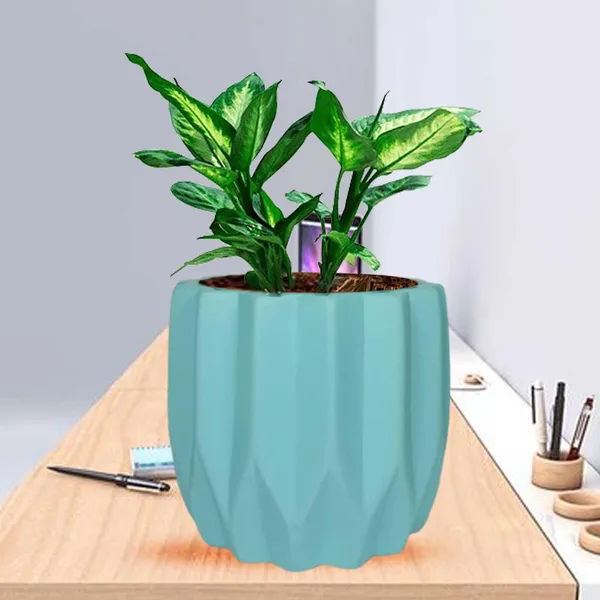 Montra_Aqua_Ceramic_Pots_For_Indoor_Plants,_Planters,Gamla,Outdoor,Balcony,Home,Round,Garden,_Office_Decor,Succulent(H_-_10.5_X_D_-_12.5_Cm)