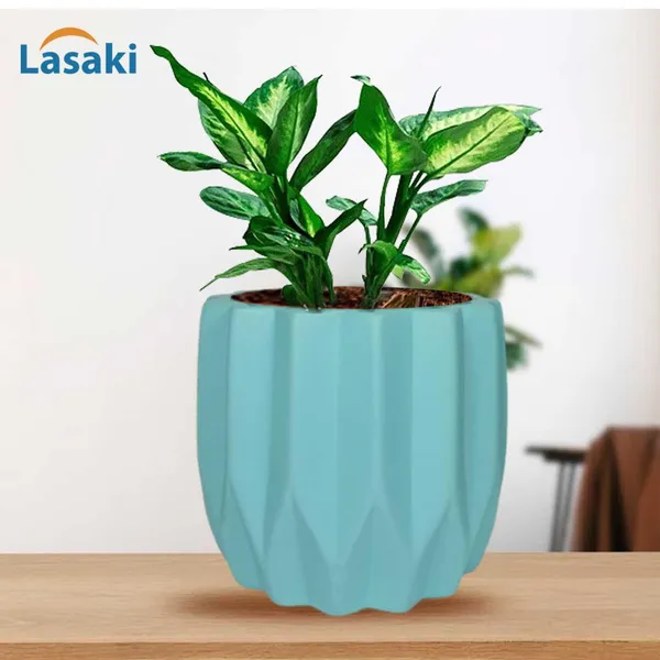 Montra_Aqua_Ceramic_Pots_For_Indoor_Plants,_Planters,Gamla,Outdoor,Balcony,Home,Round,Garden,_Office_Decor,Succulent(H_-_10.5_X_D_-_12.5_Cm)