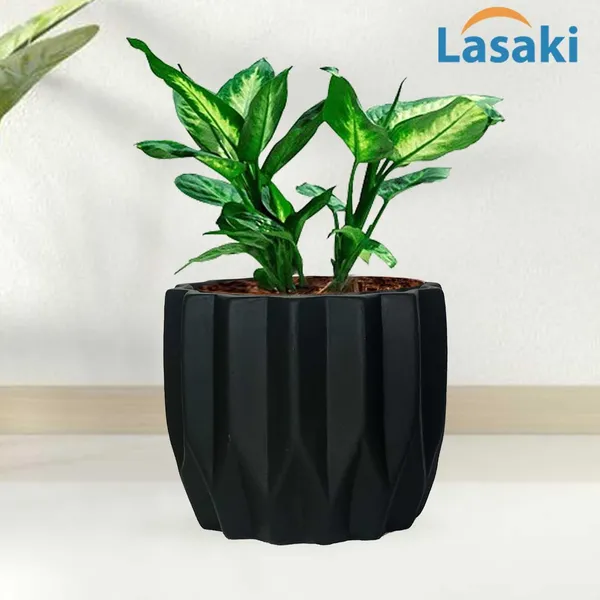 Montra_Black_Ceramic_Pots_For_Indoor_Plants,_Planters,Gamla,Outdoor,Balcony,Home,Round,Garden,_Office_Decor,Succulent(H_-_10.5_X_D_-_12.5_Cm)