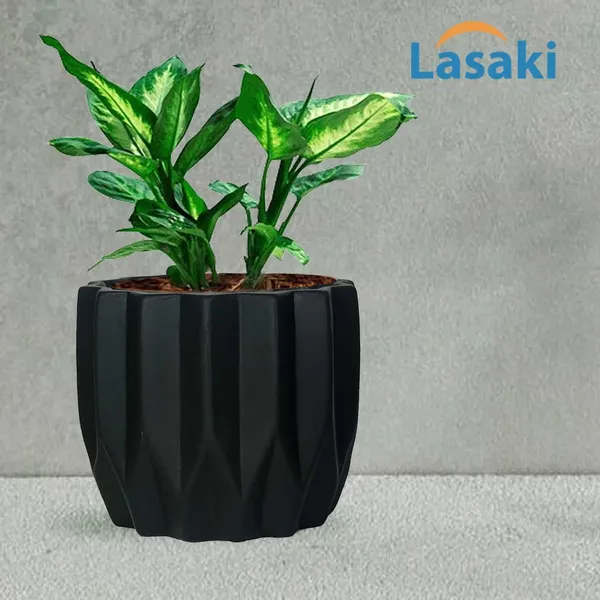 Montra_Black_Ceramic_Pots_For_Indoor_Plants,_Planters,Gamla,Outdoor,Balcony,Home,Round,Garden,_Office_Decor,Succulent(H_-_10.5_X_D_-_12.5_Cm)
