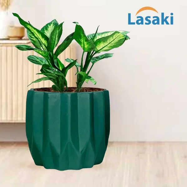 Montra_Deep_Jungle_Ceramic_Pots_For_Indoor_Plants,_Planters,Gamla,Outdoor,Balcony,Home,Round,Garden,_Office_Decor,Succulent(H_-_10.5_X_D_-_12.5_Cm)
