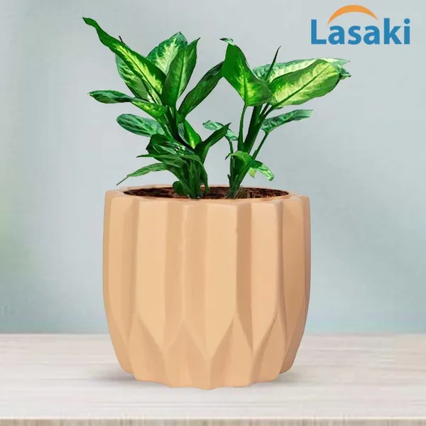 Montra_Ginger_Ceramic_Pots_For_Indoor_Plants,_Planters,Gamla,Outdoor,Balcony,Home,Round,Garden,_Office_Decor,Succulent(H_-_10.5_X_D_-_12.5_Cm)