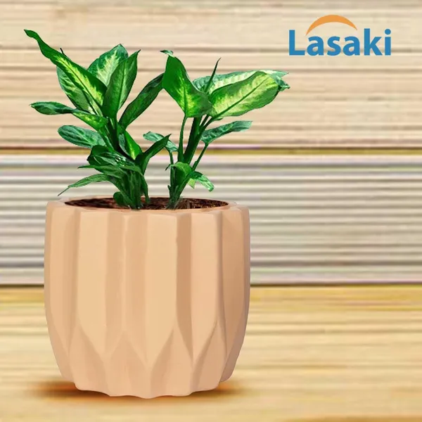 Montra_Ginger_Ceramic_Pots_For_Indoor_Plants,_Planters,Gamla,Outdoor,Balcony,Home,Round,Garden,_Office_Decor,Succulent(H_-_10.5_X_D_-_12.5_Cm)