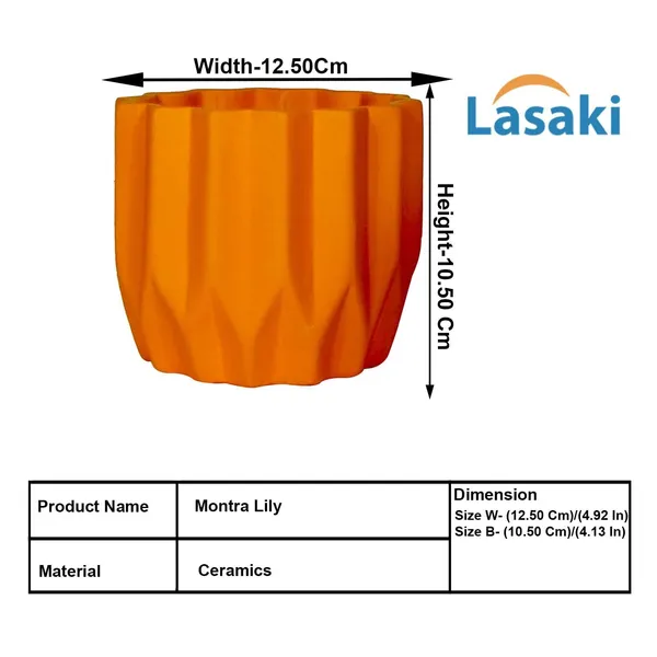 Montra_Lily_Ceramic_Pots_For_Indoor_Plants,_Planters,Gamla,Outdoor,Balcony,Home,Round,Garden,_Office_Decor,Succulent(H_-_10.5_X_D_-_12.5_Cm)