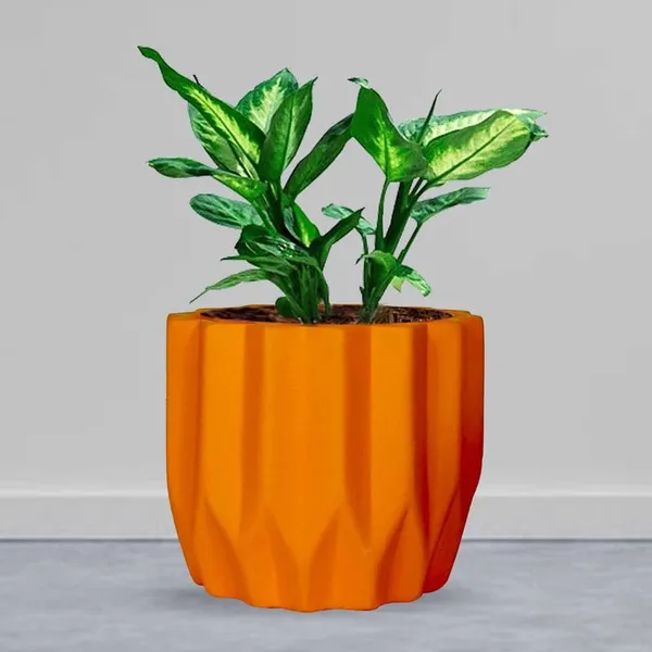 Montra_Lily_Ceramic_Pots_For_Indoor_Plants,_Planters,Gamla,Outdoor,Balcony,Home,Round,Garden,_Office_Decor,Succulent(H_-_10.5_X_D_-_12.5_Cm)