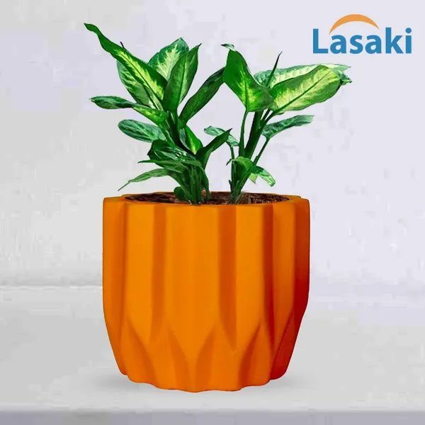 Montra_Lily_Ceramic_Pots_For_Indoor_Plants,_Planters,Gamla,Outdoor,Balcony,Home,Round,Garden,_Office_Decor,Succulent(H_-_10.5_X_D_-_12.5_Cm)