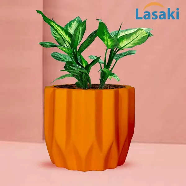 Montra_Lily_Ceramic_Pots_For_Indoor_Plants,_Planters,Gamla,Outdoor,Balcony,Home,Round,Garden,_Office_Decor,Succulent(H_-_10.5_X_D_-_12.5_Cm)