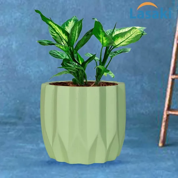 Montra_Mint_Ceramic_Pots_For_Indoor_Plants,_Planters,Gamla,Outdoor,Balcony,Home,Round,Garden,_Office_Decor,Succulent(H_-_10.5_X_D_-_12.5_Cm)