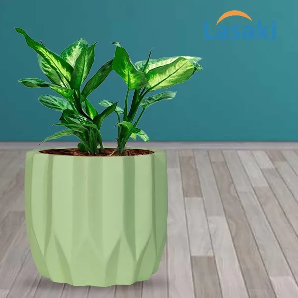 Montra_Mint_Ceramic_Pots_For_Indoor_Plants,_Planters,Gamla,Outdoor,Balcony,Home,Round,Garden,_Office_Decor,Succulent(H_-_10.5_X_D_-_12.5_Cm)