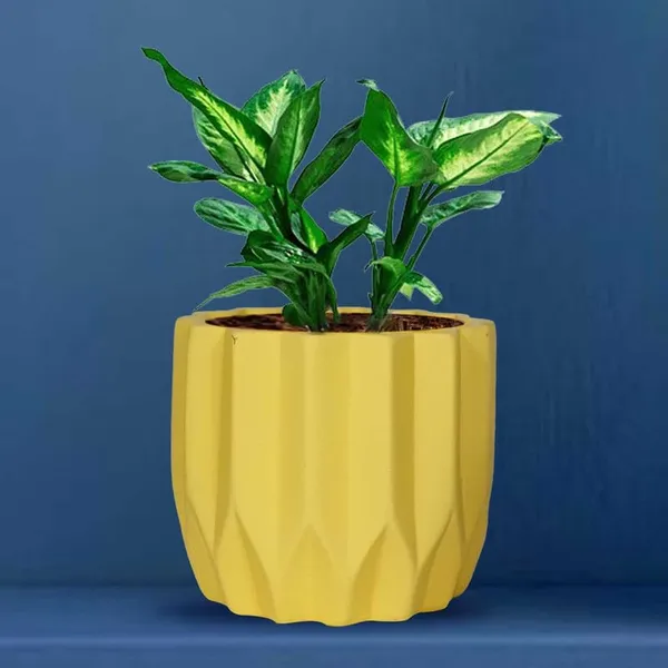 Montra_Saffron_Ceramic_Pots_For_Indoor_Plants,_Planters,Gamla,Outdoor,Balcony,Home,Round,Garden,_Office_Decor,Succulent(H_-_10.5_X_D_-_12.5_Cm)