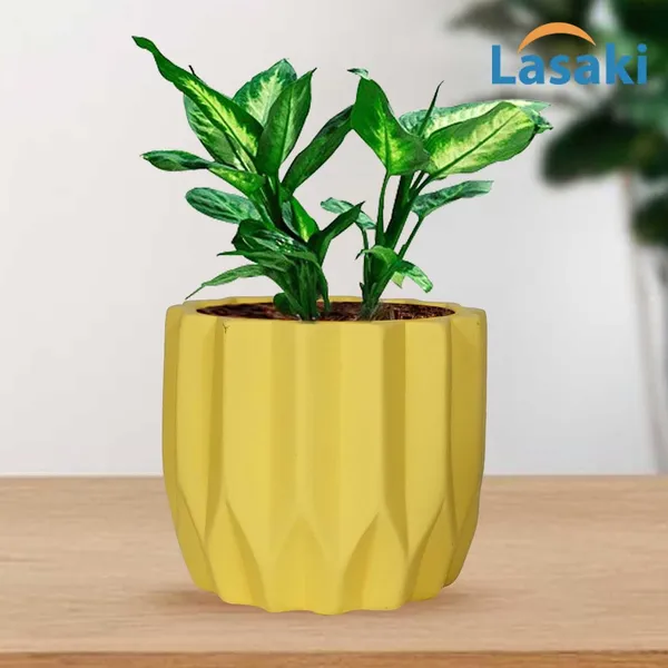 Montra_Saffron_Ceramic_Pots_For_Indoor_Plants,_Planters,Gamla,Outdoor,Balcony,Home,Round,Garden,_Office_Decor,Succulent(H_-_10.5_X_D_-_12.5_Cm)