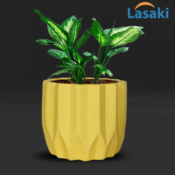 Montra_Saffron_Ceramic_Pots_For_Indoor_Plants,_Planters,Gamla,Outdoor,Balcony,Home,Round,Garden,_Office_Decor,Succulent(H_-_10.5_X_D_-_12.5_Cm)