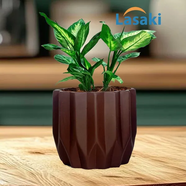 Montra_Truffle_Ceramic_Pots_For_Indoor_Plants,_Planters,Gamla,Outdoor,Balcony,Home,Round,Garden,_Office_Decor,Succulent(H_-_10.5_X_D_-_12.5_Cm)