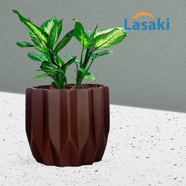 Montra_Truffle_Ceramic_Pots_For_Indoor_Plants,_Planters,Gamla,Outdoor,Balcony,Home,Round,Garden,_Office_Decor,Succulent(H_-_10.5_X_D_-_12.5_Cm)