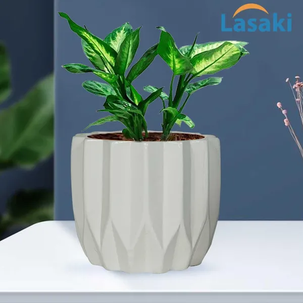 Montra_White_Ceramic_Pots_For_Indoor_Plants,_Planters,Gamla,Outdoor,Balcony,Home,Round,Garden,_Office_Decor,Succulent(H_-_10.5_X_D_-_12.5_Cm)