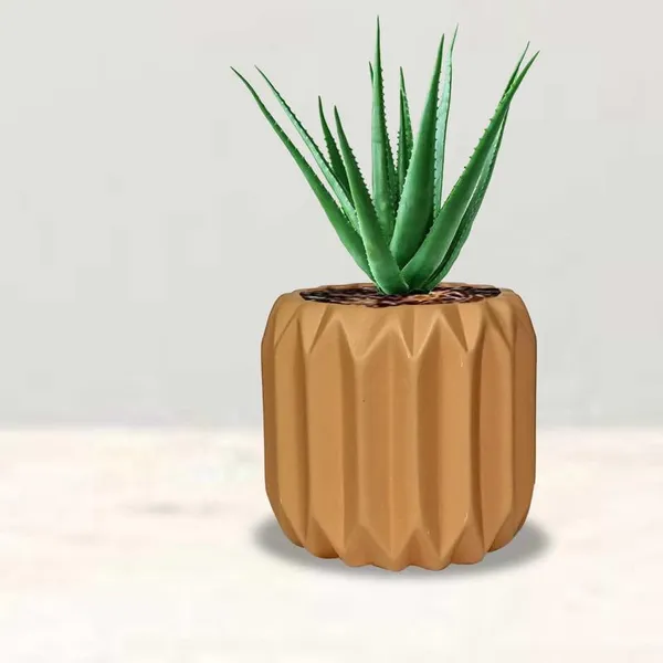 Kavira_Ginger_Ceramic_Pots_For_Indoor_Plants,_Planters,Gamla,Outdoor,Balcony,Home,Round,Garden,_Office_Decor,Succulent(H_-_11_X_D_-_12_Cm)