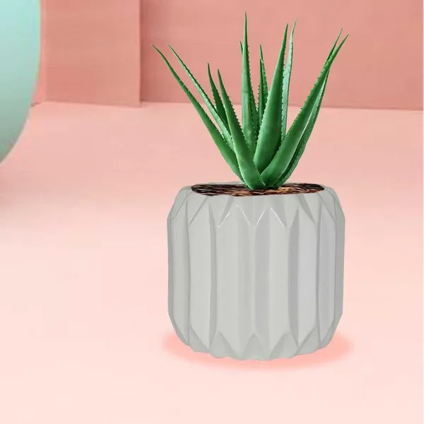 Kavira_White_Ceramic_Pots_For_Indoor_Plants,_Planters,Gamla,Outdoor,Balcony,Home,Round,Garden,_Office_Decor,Succulent(H_-_11_X_D_-_12_Cm)