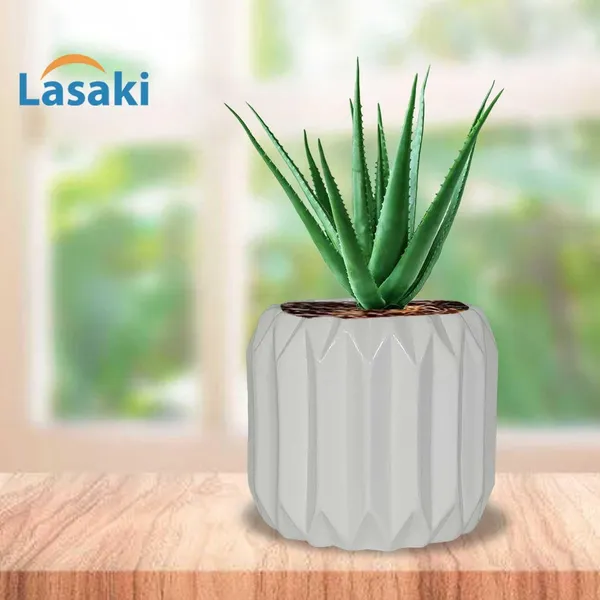 Kavira_White_Ceramic_Pots_For_Indoor_Plants,_Planters,Gamla,Outdoor,Balcony,Home,Round,Garden,_Office_Decor,Succulent(H_-_11_X_D_-_12_Cm)