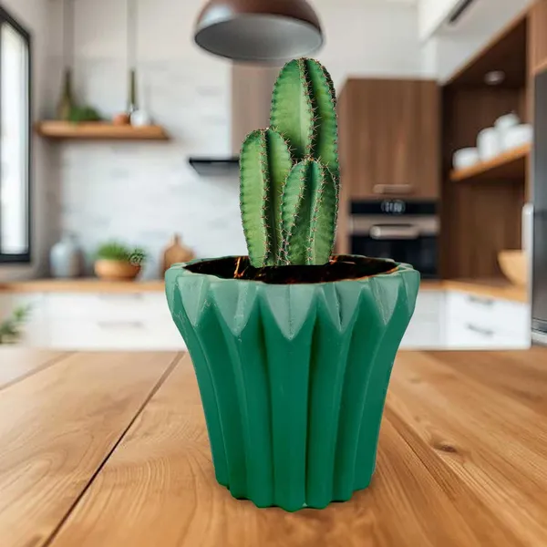 Flory_Deep_Jungle_Ceramic_Pots_For_Indoor_Plants,_Planters,Gamla,Outdoor,Balcony,Home,Round,Garden,_Office_Decor,Succulent(H_-_14_X_D_-_15_Cm)