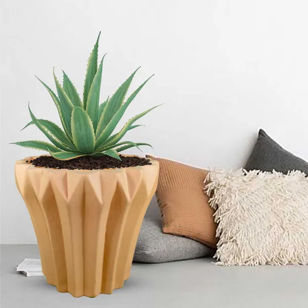 Flory_Ginger_Ceramic_Pots_For_Indoor_Plants,_Planters,Gamla,Outdoor,Balcony,Home,Round,Garden,_Office_Decor,Succulent(H_-_14_X_D_-_15_Cm)