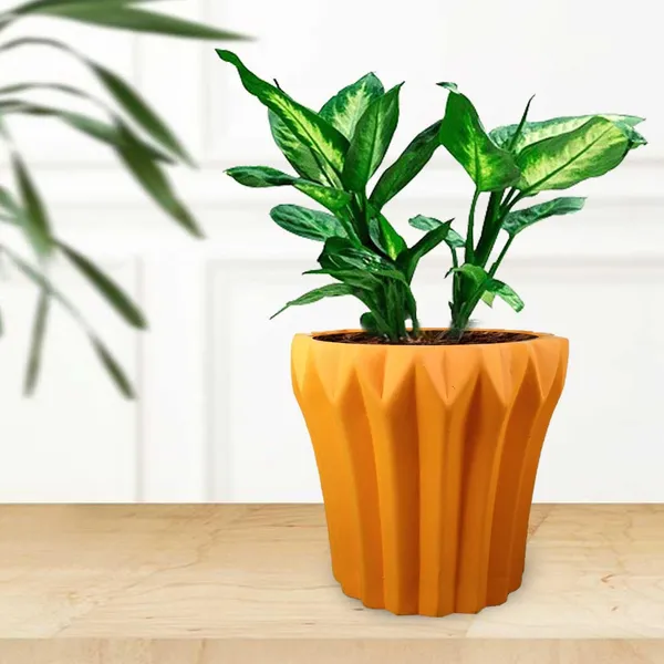 Flory_Lily_Ceramic_Pots_For_Indoor_Plants,_Planters,Gamla,Outdoor,Balcony,Home,Round,Garden,_Office_Decor,Succulent(H_-_14_X_D_-_15_Cm)
