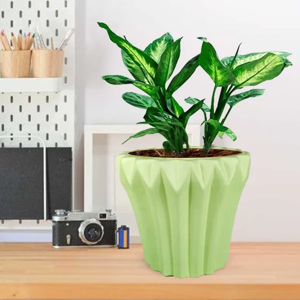 Flory_Mint_Ceramic_Pots_For_Indoor_Plants,_Planters,Gamla,Outdoor,Balcony,Home,Round,Garden,_Office_Decor,Succulent(H_-_14_X_D_-_15_Cm)