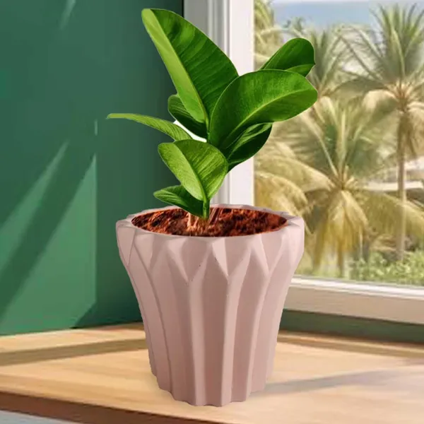Flory_Pink_Ceramic_Pots_For_Indoor_Plants,_Planters,Gamla,Outdoor,Balcony,Home,Round,Garden,_Office_Decor,Succulent(H_-_14_X_D_-_15_Cm)