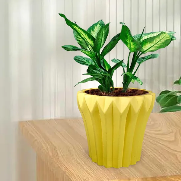 Flory_Saffron_Ceramic_Pots_For_Indoor_Plants,_Planters,Gamla,Outdoor,Balcony,Home,Round,Garden,_Office_Decor,Succulent(H_-_14_X_D_-_15_Cm)