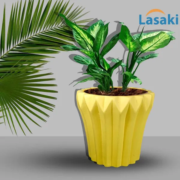 Flory_Saffron_Ceramic_Pots_For_Indoor_Plants,_Planters,Gamla,Outdoor,Balcony,Home,Round,Garden,_Office_Decor,Succulent(H_-_14_X_D_-_15_Cm)