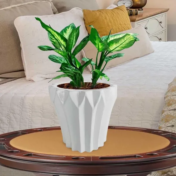 Flory_White_Ceramic_Pots_For_Indoor_Plants,_Planters,Gamla,Outdoor,Balcony,Home,Round,Garden,_Office_Decor,Succulent(H_-_14_X_D_-_15_Cm)