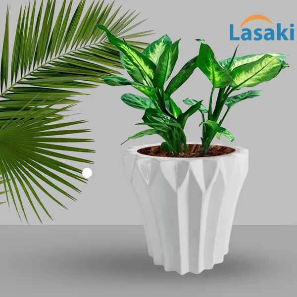 Flory_White_Ceramic_Pots_For_Indoor_Plants,_Planters,Gamla,Outdoor,Balcony,Home,Round,Garden,_Office_Decor,Succulent(H_-_14_X_D_-_15_Cm)